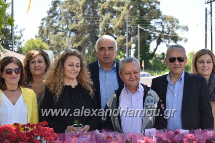 alexandriamou_paidiaanoiksisanthoekhsi2019105