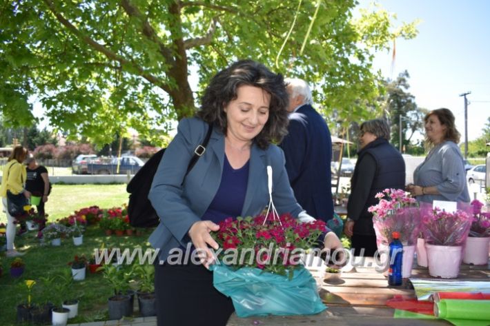 alexandriamou_paidiaanoiksisanthoekhsi2019111