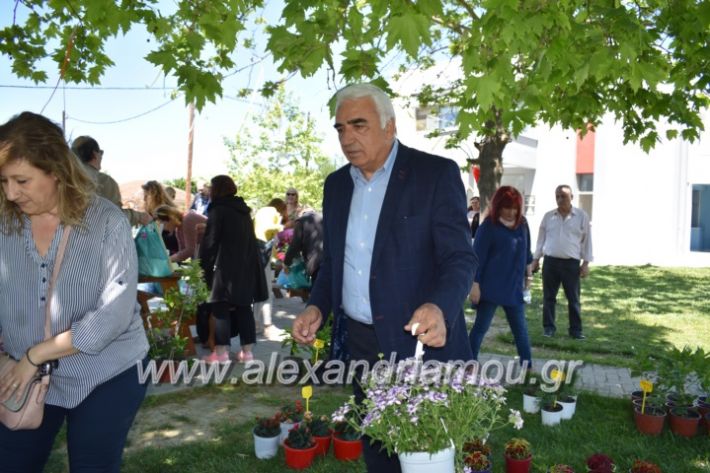 alexandriamou_paidiaanoiksisanthoekhsi2019114