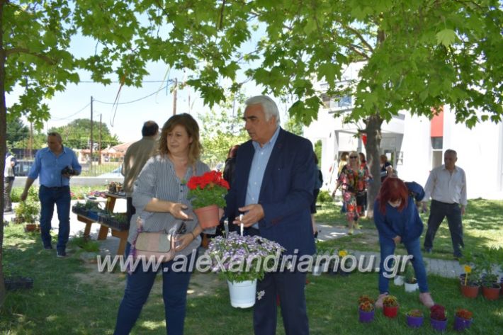 alexandriamou_paidiaanoiksisanthoekhsi2019115