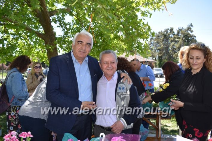 alexandriamou_paidiaanoiksisanthoekhsi2019131