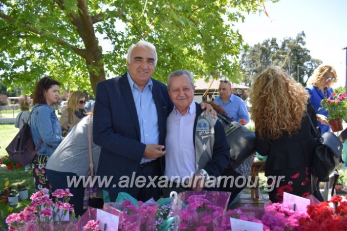 alexandriamou_paidiaanoiksisanthoekhsi2019134