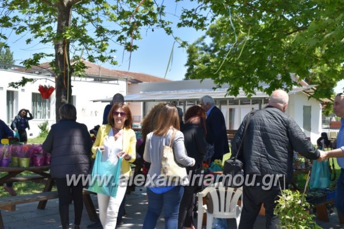 alexandriamou_paidiaanoiksisanthoekhsi2019135