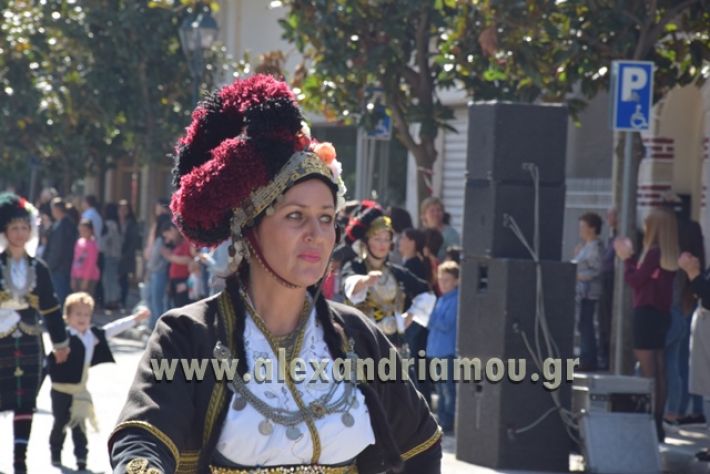 alexandriamou.gr_parelasi22337