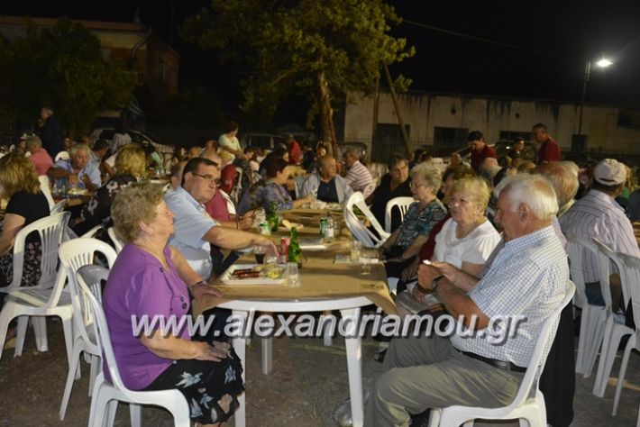 alexandriamou.gr_araxiotika2018007