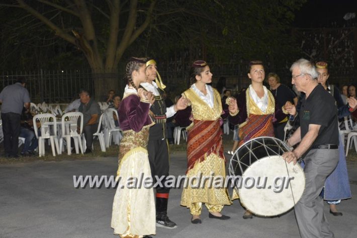 alexandriamou.gr_araxiotika2018057