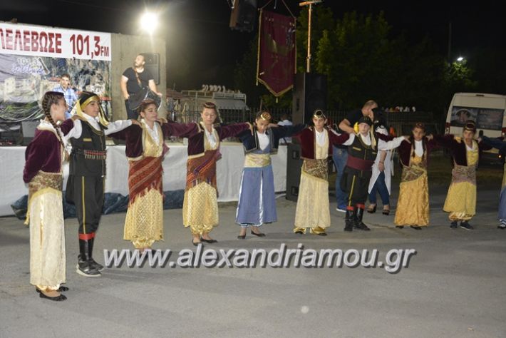 alexandriamou.gr_araxiotika2018059