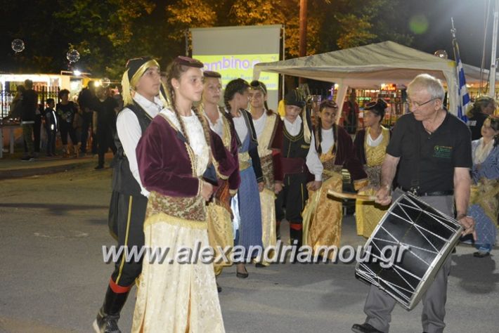 alexandriamou.gr_araxiotika2018072