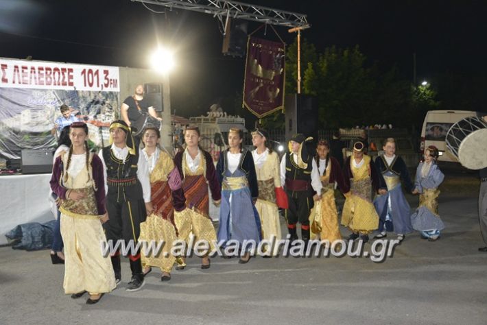 alexandriamou.gr_araxiotika2018077