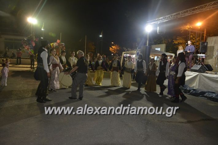 alexandriamou.gr_araxiotika2018093
