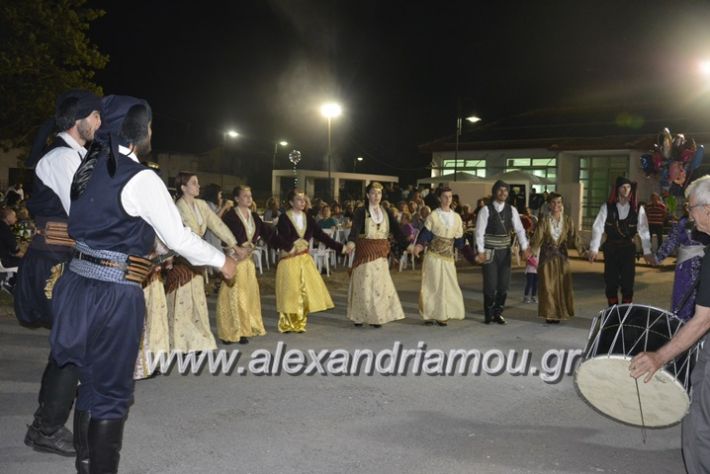 alexandriamou.gr_araxiotika2018099