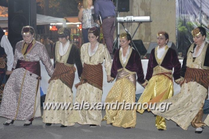 alexandriamou.gr_araxiotika2018103