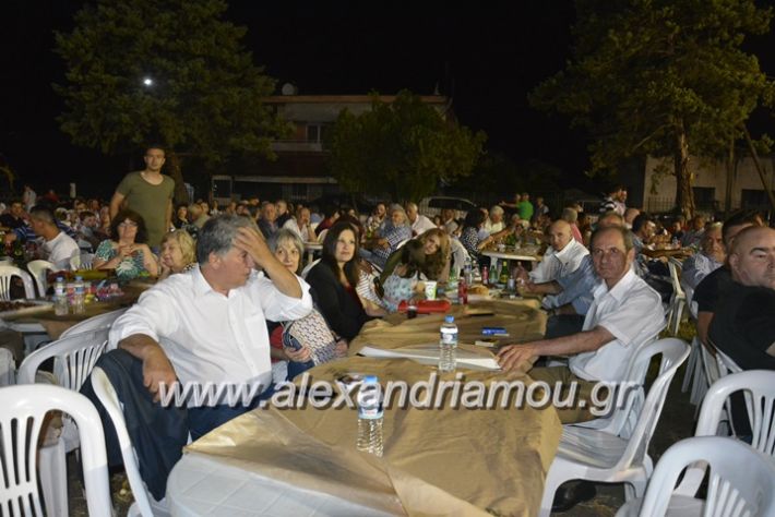 alexandriamou.gr_araxiotika2018146