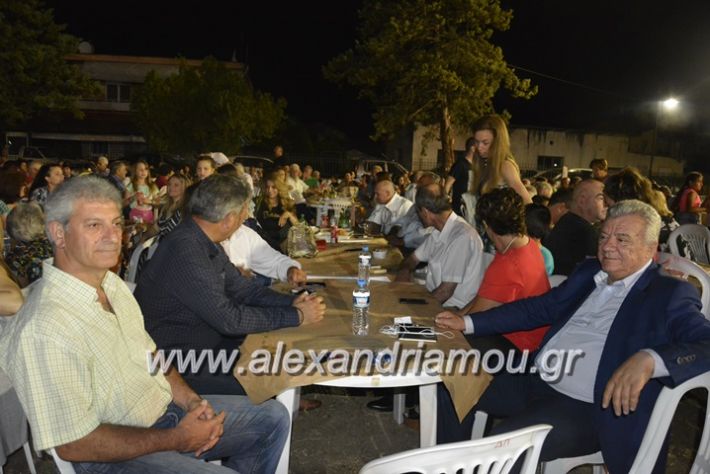 alexandriamou.gr_araxiotika2018166