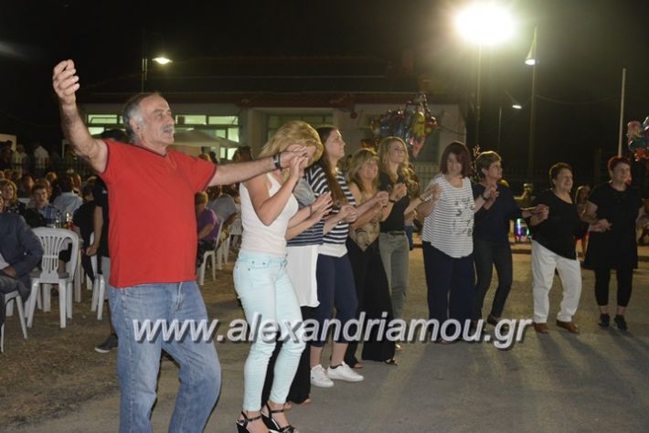 alexandriamou.gr_araxiotika2018204