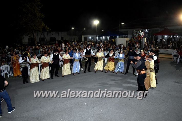 alexandriamou_araxiotika8.6.2019139