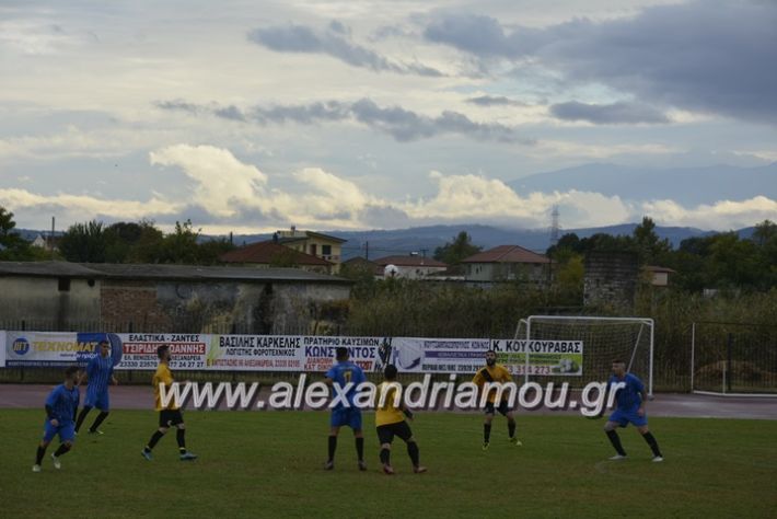 alexandriamou.gr_palioxori_kopanos087