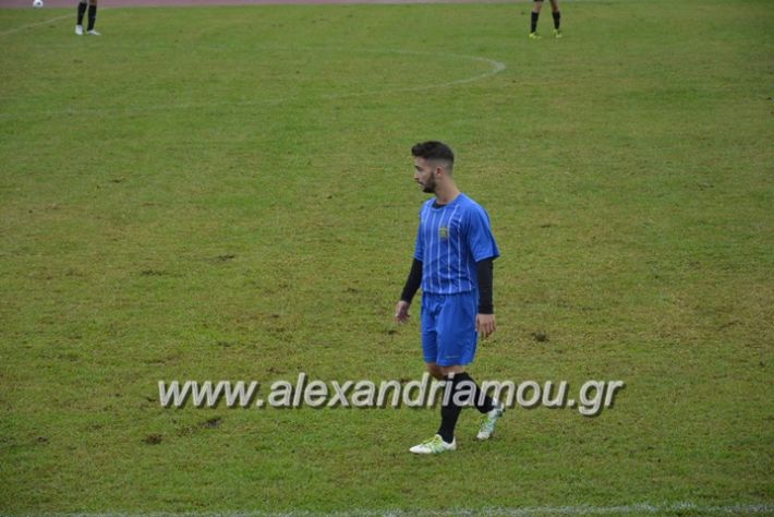 alexandriamou.gr_palioxori_kopanos089