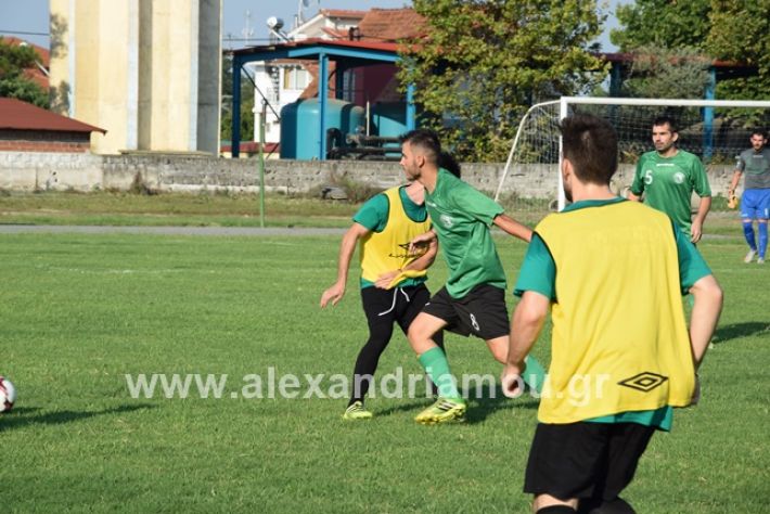 alexandriamou.gr_platu2334DSC_0820