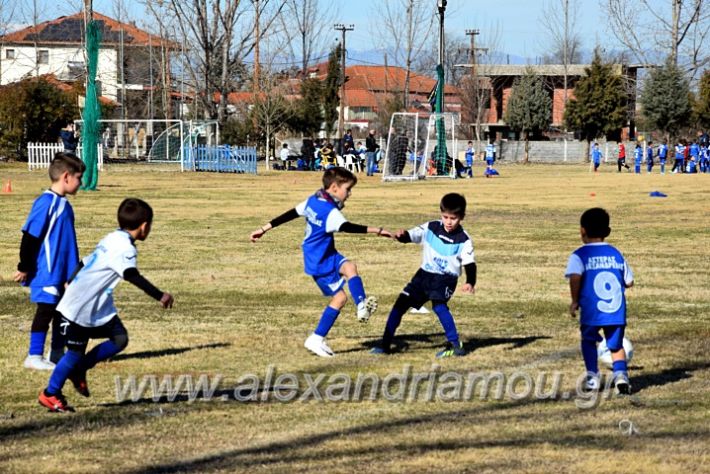 alexandriamou.gr_astera202011DSC_0081