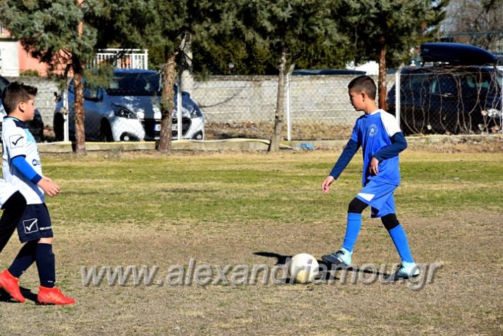 alexandriamou.gr_astera202011DSC_0098