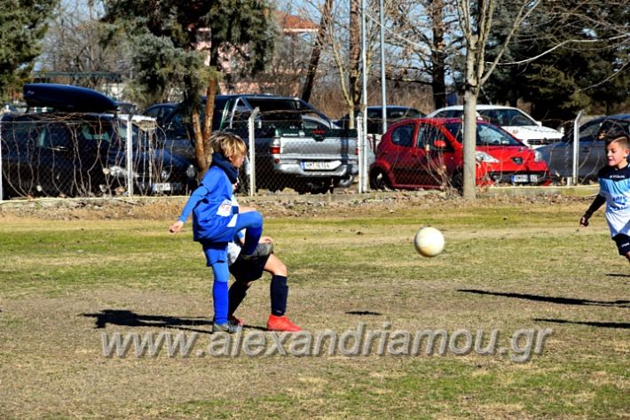 alexandriamou.gr_astera202011DSC_0099