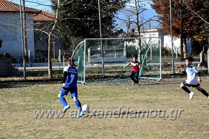 alexandriamou.gr_astera202011DSC_0119