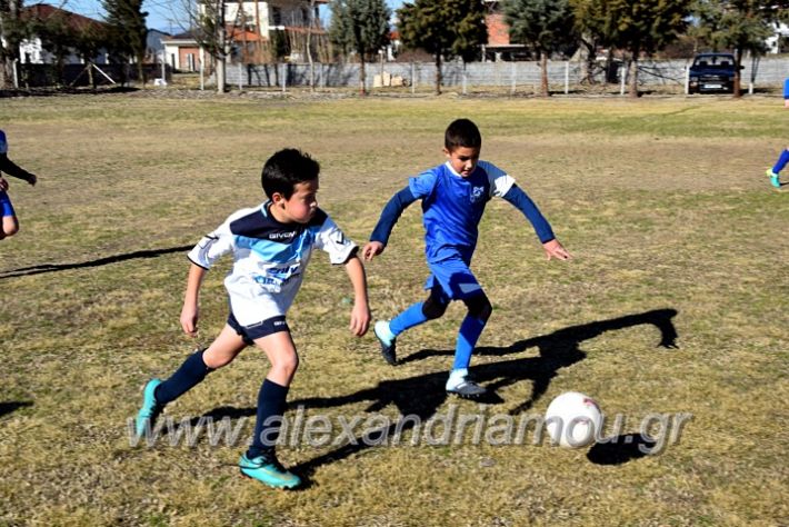 alexandriamou.gr_astera202011DSC_0124