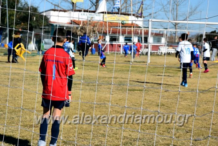 alexandriamou.gr_astera202011DSC_0126