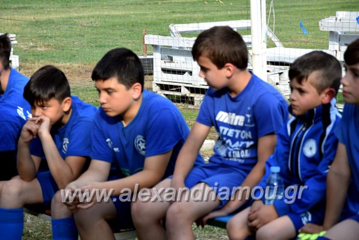 alexandriamou.gr_asyera0101DSC_0918