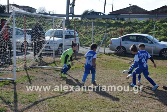 alexandriamou.gr_asterastilemaxi08DSC_0498