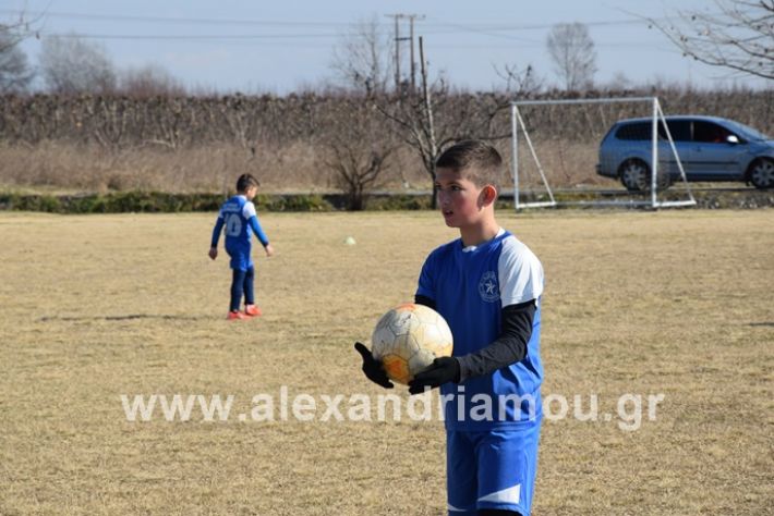 alexandriamou.gr_asterastilemaxi08DSC_0588