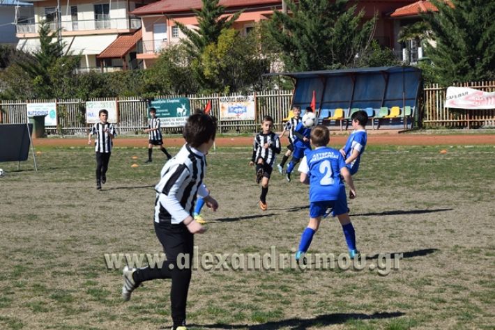 asteras_10.03.18010
