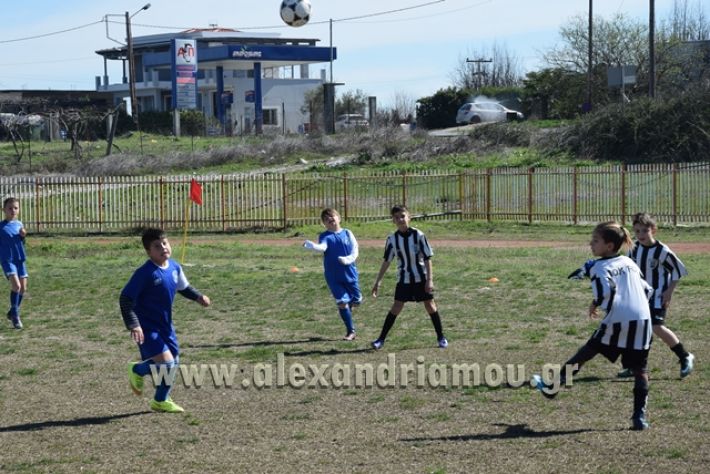 asteras_10.03.18020
