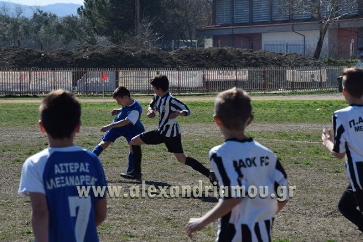 asteras_10.03.18051