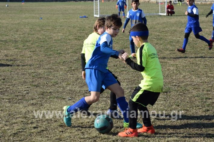 alexandriamou.gr_asteras20202DSC_0009