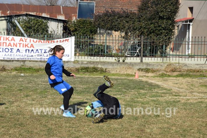 alexandriamou.gr_asteras20202DSC_0019