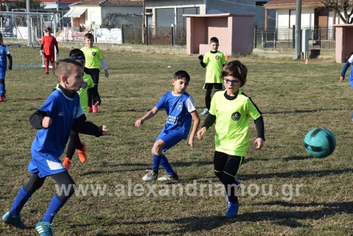 alexandriamou.gr_asteras20202DSC_1890