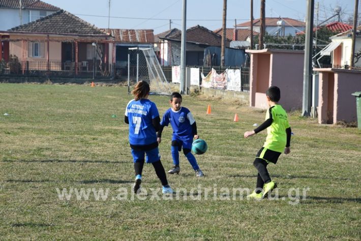 alexandriamou.gr_asteras20202DSC_1933