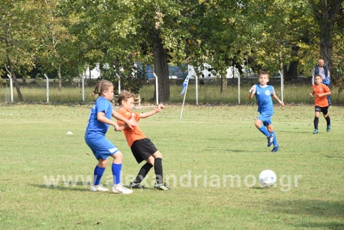 alexandriamou.gr_astera1221DSC_0878