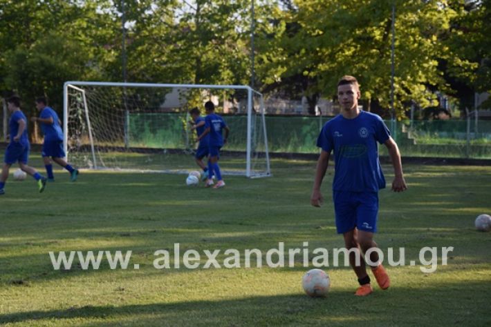 www.alexandriamou.gr_astewras2020DSC_0615