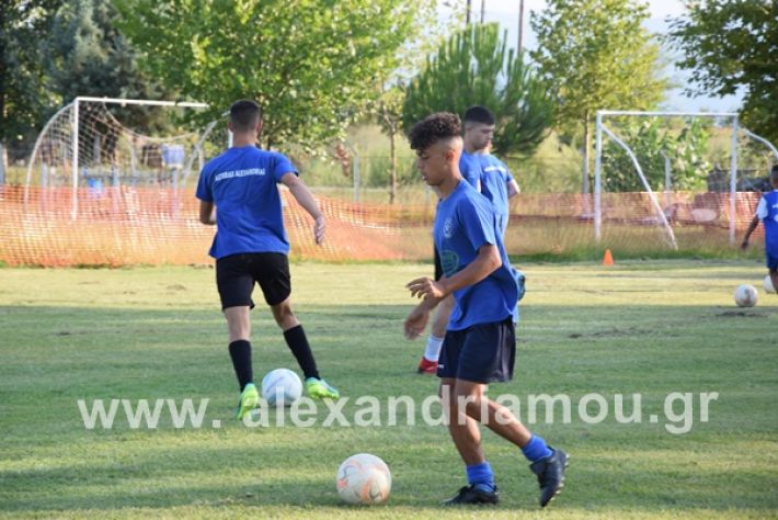 www.alexandriamou.gr_astewras2020DSC_0616