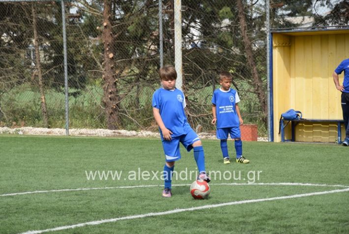 alexandriamou.gr_asteras29.04.18DSC_0097