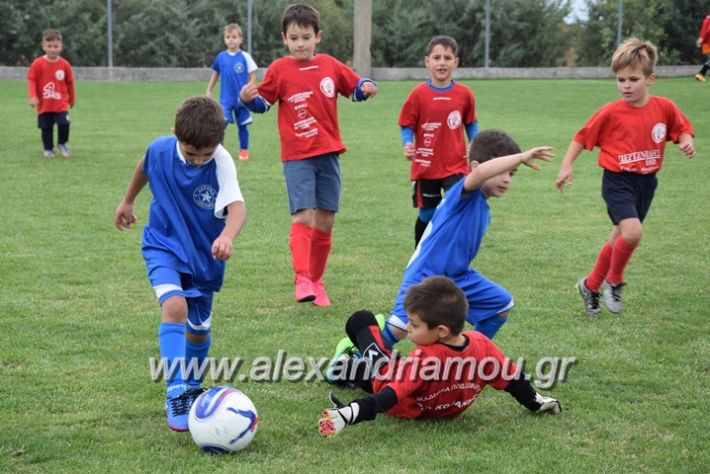 alexandriamou.gr_asteras30.09.17092