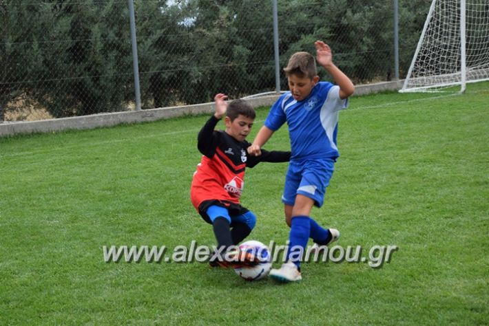 alexandriamou.gr_asteras30.09.17115