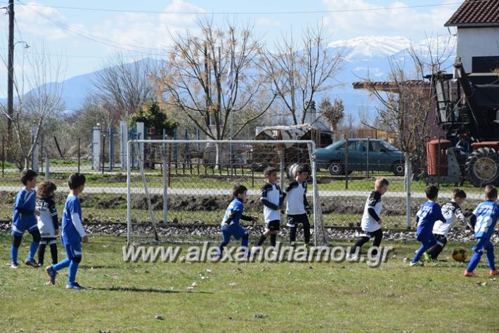 alexandriamou.gr_asteras04.03.18004