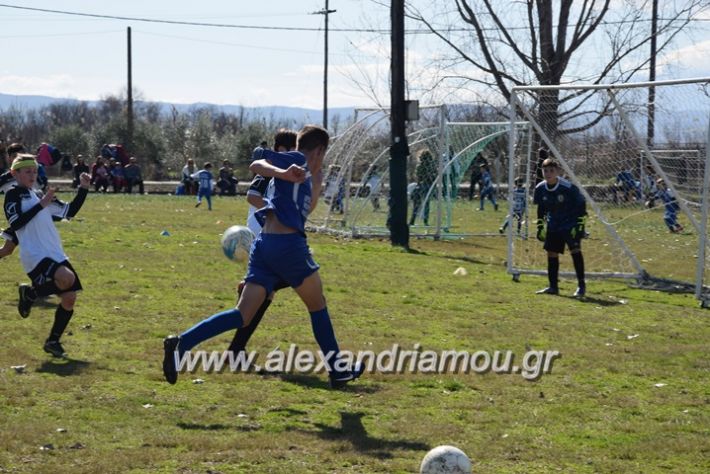 alexandriamou.gr_asteras04.03.18037