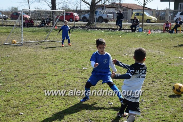 alexandriamou.gr_asteras04.03.18051