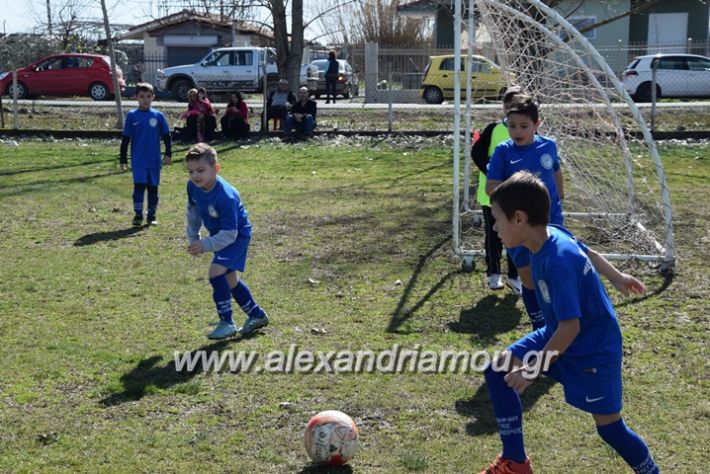 alexandriamou.gr_asteras04.03.18063