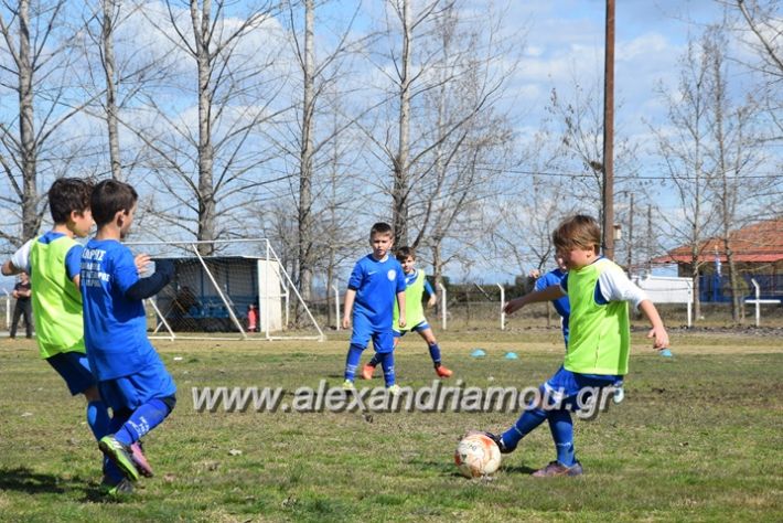 alexandriamou.gr_asteras04.03.18110